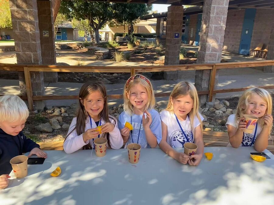 Students enjoying the outdoor learning space